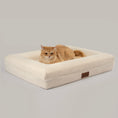 Load image into Gallery viewer, Ginger cat lying on The Lounger