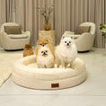Load image into Gallery viewer, Four Pomeranians sitting together in The Cocoon