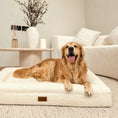 Load image into Gallery viewer, Golden Retriever lying on The Lounger, size Large, in a living room