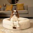 Load image into Gallery viewer, Cavalier King Charles Spaniel resting in The Cocoon, size Medium, in a living room