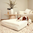 Load image into Gallery viewer, Cavalier King Charles Spaniel resting its head on the edge of The Lounger, size Medium