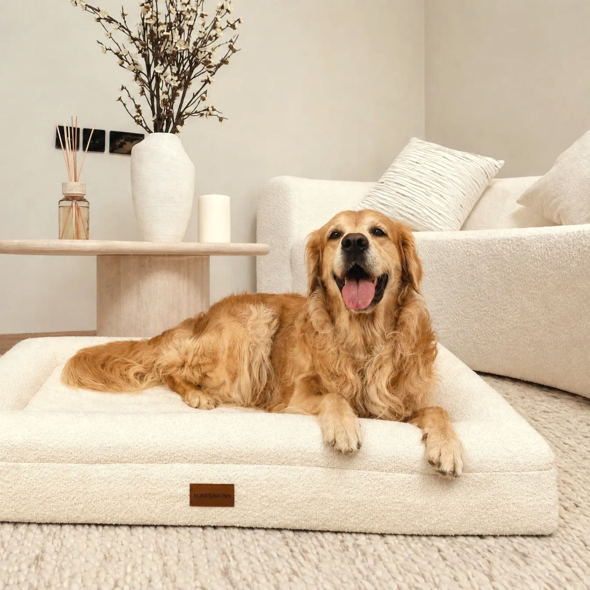 Golden Retriever lying on The Lounger, size Large, in a living room