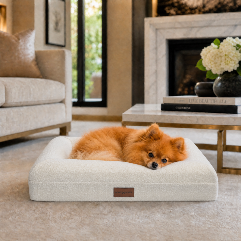 The Lounger