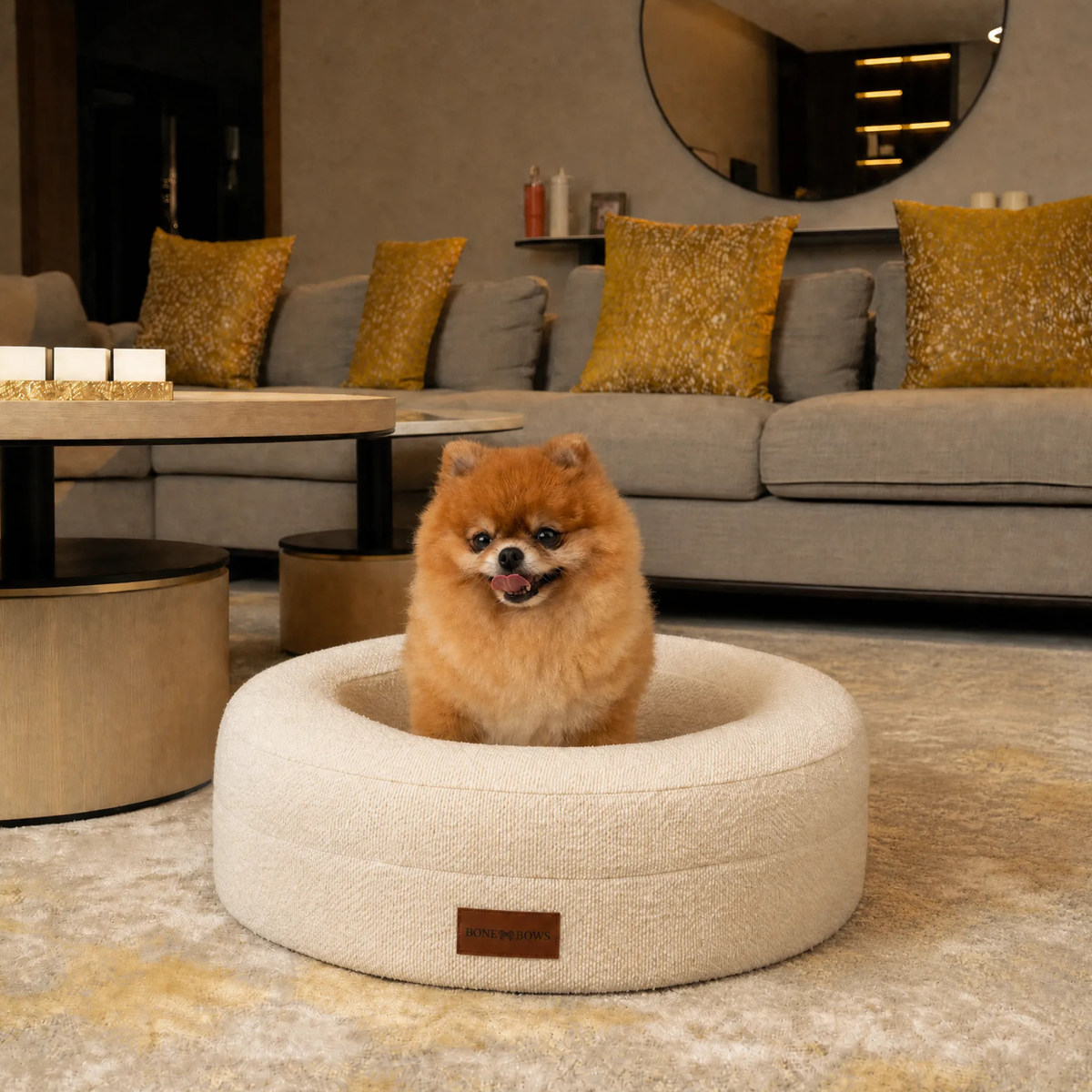 Pomeranian sitting in The Cocoon, size Small, in a living room