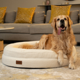 Load image into Gallery viewer, Golden Retriever lying in The Cocoon, size Large, in a living room
