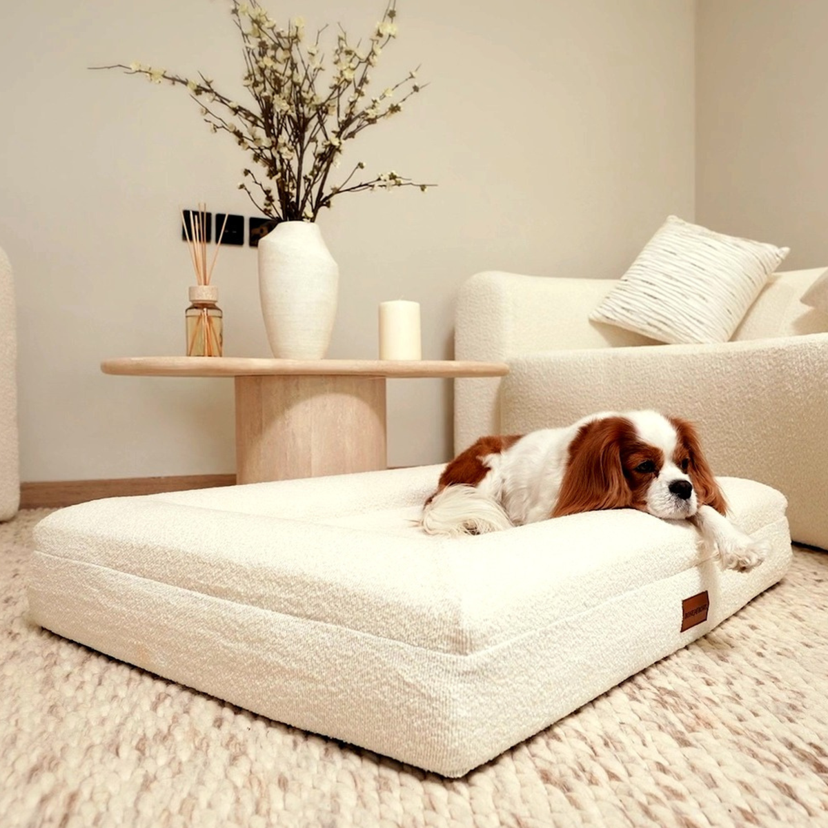 Cavalier King Charles Spaniel resting its head on the edge of The Lounger, size Medium