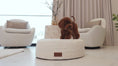 Load and play video in Gallery viewer, Brown Toy Poodle stepping into The Cocoon in a bright living room
