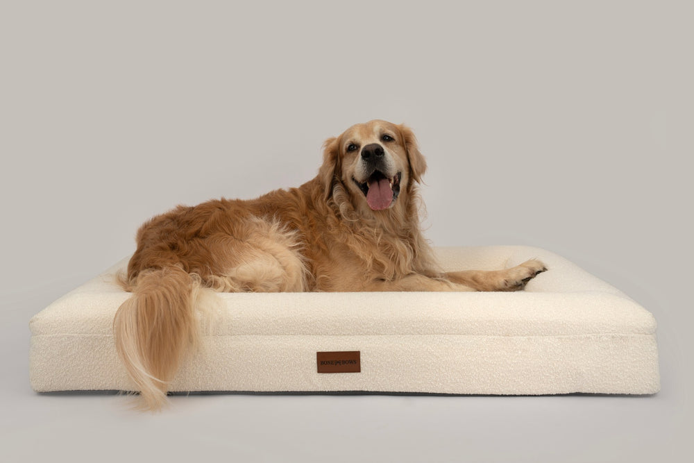 Complete Comfort