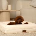 Load image into Gallery viewer, Brown Toy Poodle lying on The Lounger, size Small, in a living room
